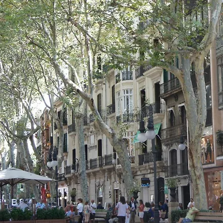 Rambla Palma Center-3